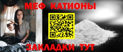 сатива Новозыбков