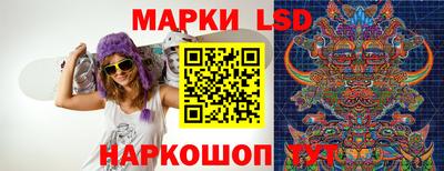 сатива Новозыбков