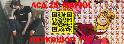 сатива Новозыбков