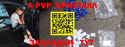 сатива Новозыбков