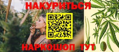 молекула духа Новокубанск
