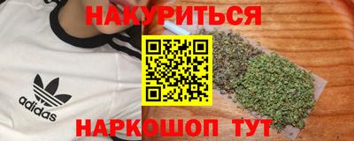 сатива Новозыбков