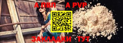 сатива Новозыбков