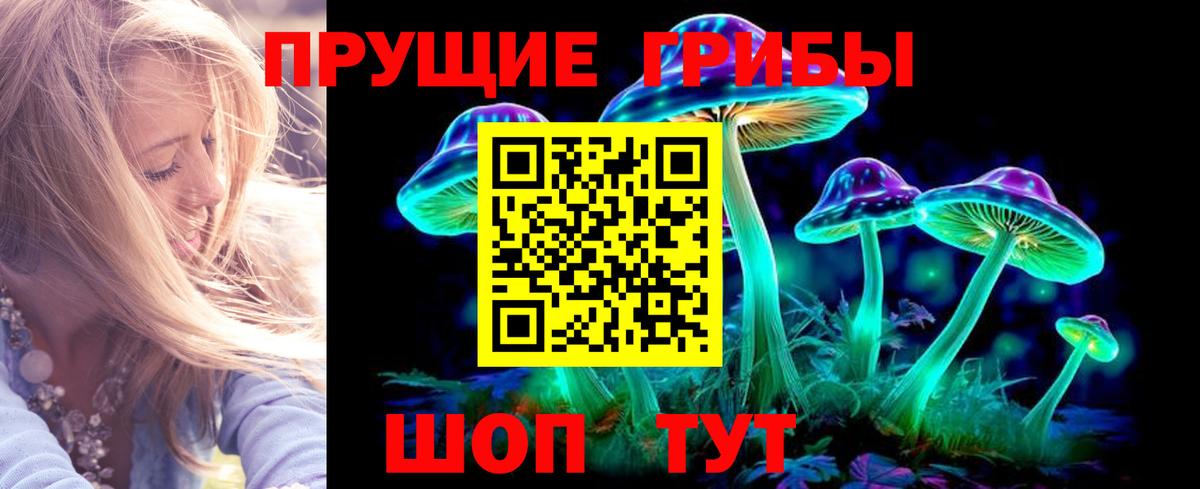 Псилоцибиновые грибы прущие грибы Амурск